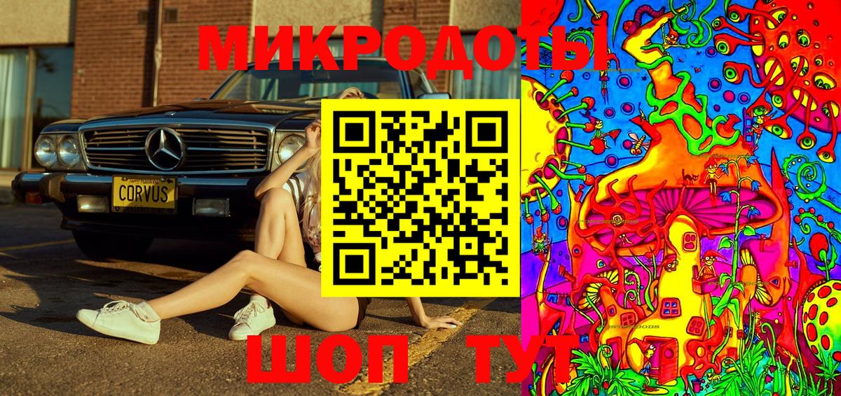 Псилоцибиновые грибы Cubensis Рузаевка