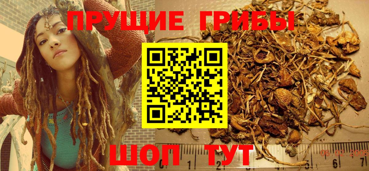 Псилоцибиновые грибы Magic Shrooms  Псилоцибиновые грибы ЛСД  Вход с VPN  где продают наркотики  Рузаевка 